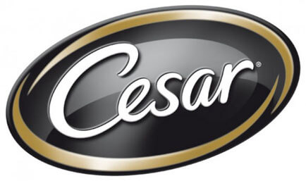 Cesar